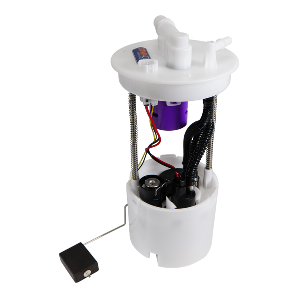 Photo - Primary