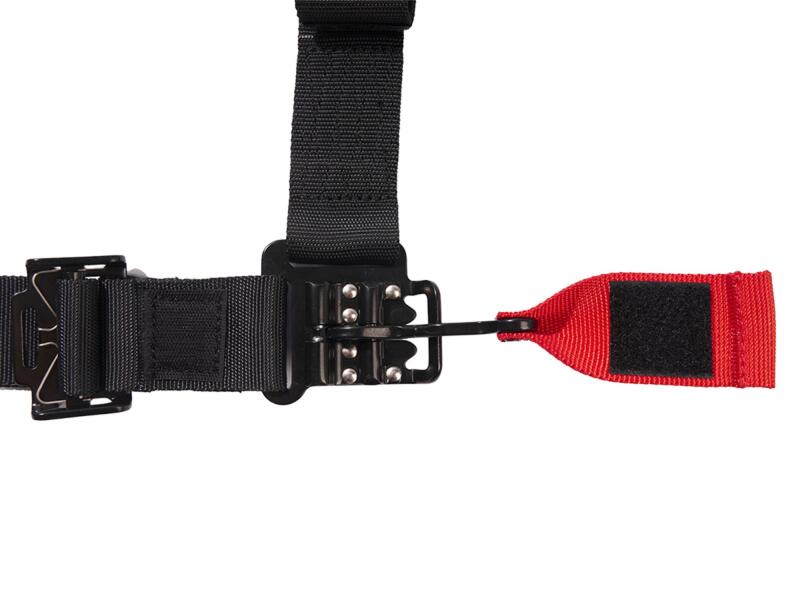 Photo - Close Up