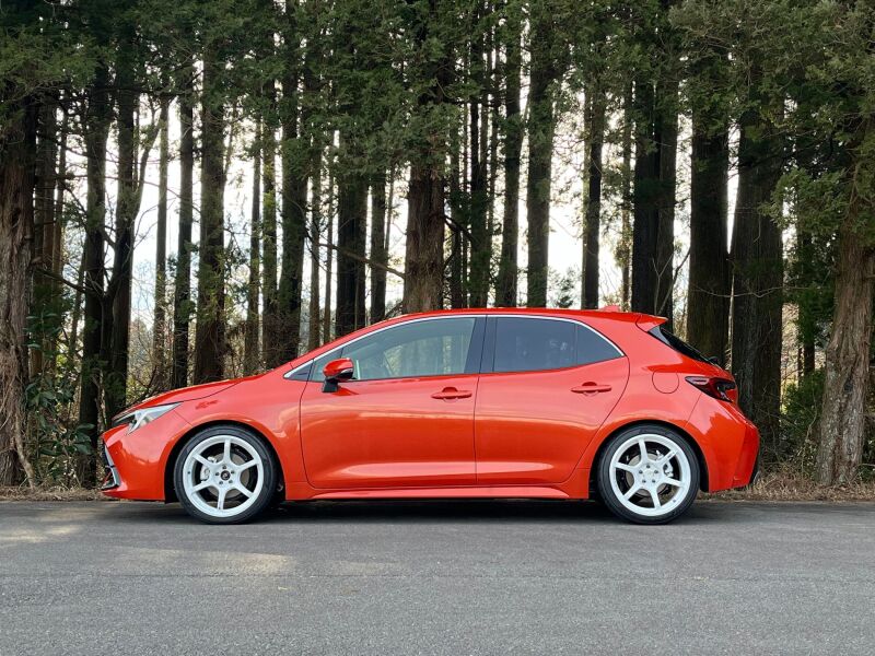 Photo - Close Up